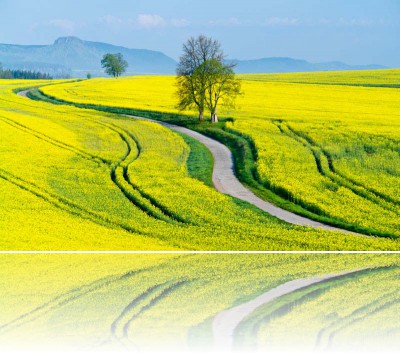 Gmerek Tomasz - Droga 1