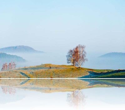 Gmerek Tomasz - Drzewo 4