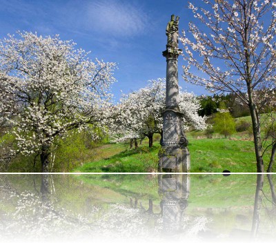 Gmerek Tomasz - Kolumna