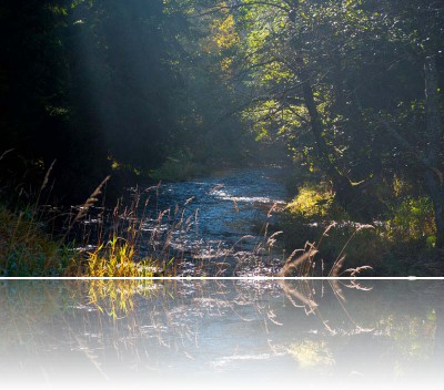 Gmerek Tomasz - Orlica 2