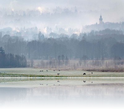 Gmerek Tomasz - Polanica