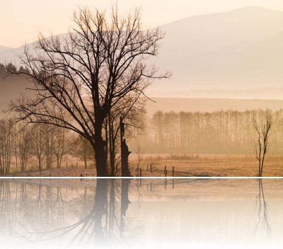 Gmerek Tomasz - Poręba 1