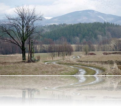 Gmerek Tomasz - Poręba 2