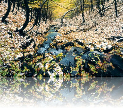 Gmerek Tomasz - Potok 1