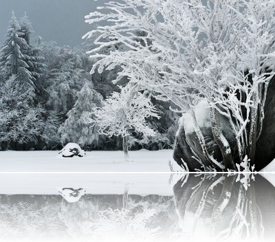 Gmerek Tomasz - Sawanna 1