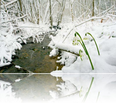 Gmerek Tomasz - Śnieżyce
