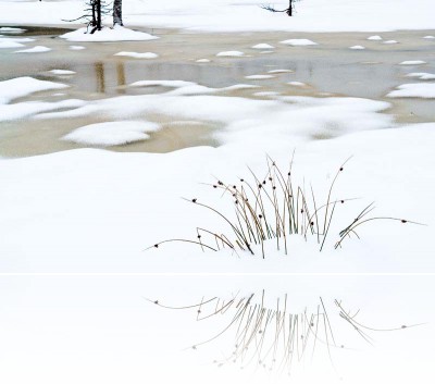 Gmerek Tomasz - Topielisko 1