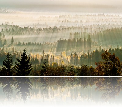 Gmerek Tomasz - Topielisko 2