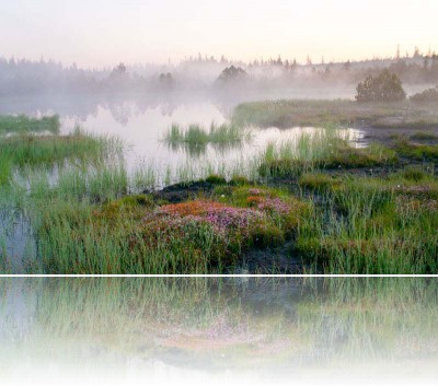 Gmerek Tomasz - Topielisko 3