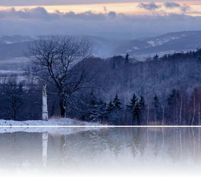Gmerek Tomasz - Waliszów 1