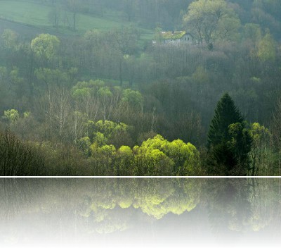 Gmerek Tomasz - Waliszów 3