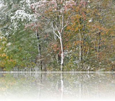 Gmerek Tomasz - Zadymka 2