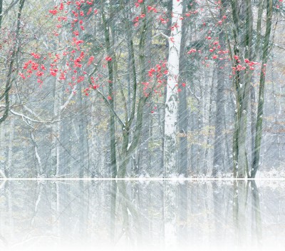 Gmerek Tomasz - Zadymka 3