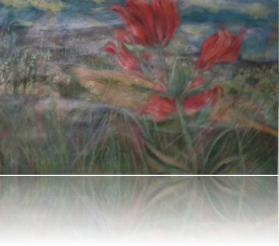 Kazimierska Beata - Kwiaty