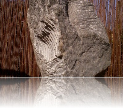 Osuch Michał - Onona