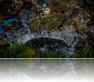 Surowy Sławomir - Woda 1