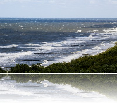 Surowy Sławomir - Morze 2