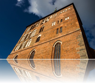 Surowy Sławomir - Bazylika w Kołobrzegu