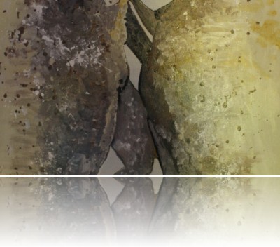 Wołoszyn Sylwia - Materializacja