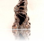 Brzezińska Katarzyna - brzezinska_Podwodna_1_2.jpg