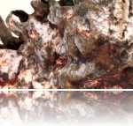 Brzezińska Katarzyna - brzezinska_Podwodna_1_4.jpg