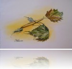 Gałązka suchych liści