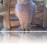 Mackiewicz Bartłomiej - kurowski_sowa_1_2.jpg