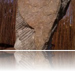 Osuch Michał - osuch_onona_1_3.jpg